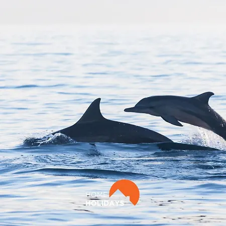 #185 V3 Laranjeiras By Holidays * Албуфейра